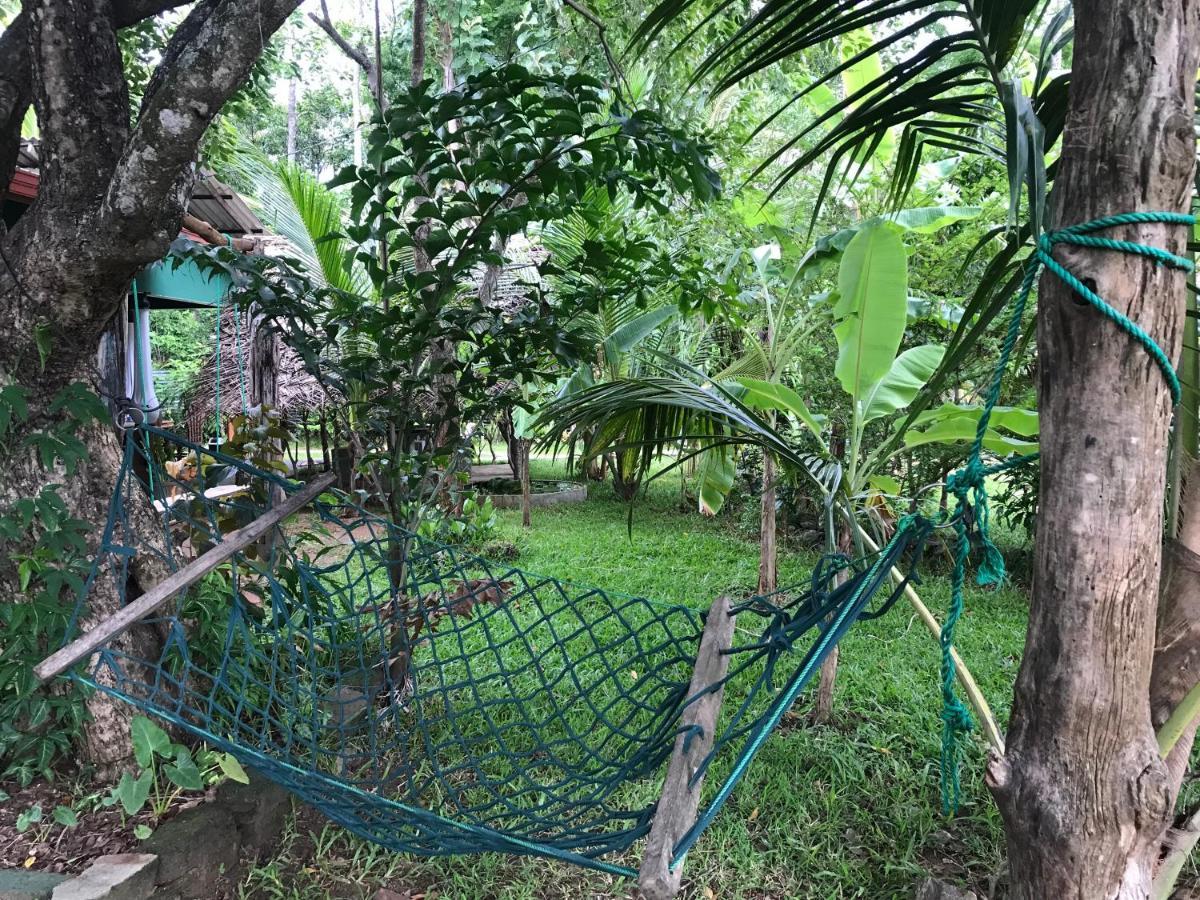 Sigiriya Village Home Stay Exterior foto